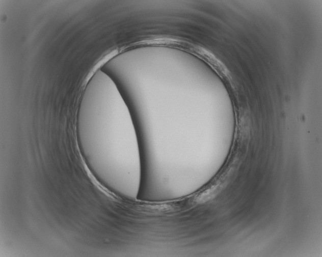 X0000086341425200703300945
