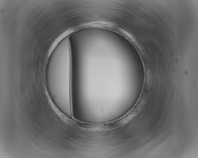 X0000086341426200703300945