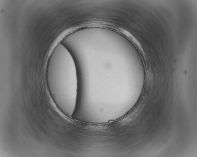 X0000086341429200703300945