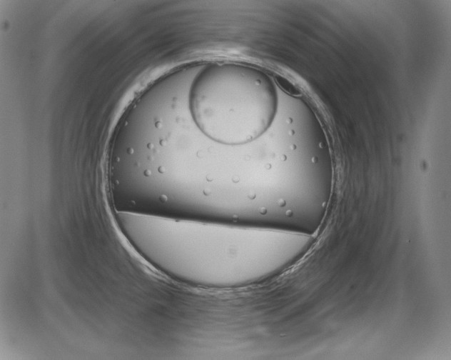 X0000086341432200703300945