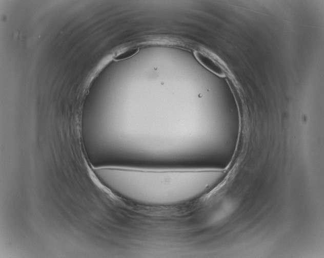 X0000086341433200703300945