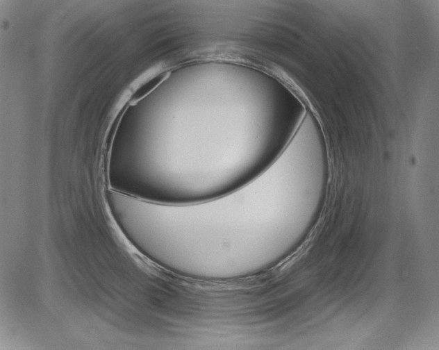X0000086341434200703300945