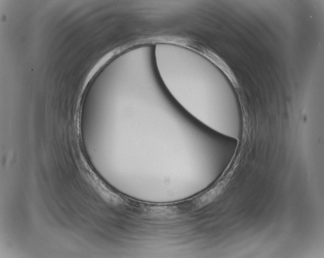 X0000086341436200703300945