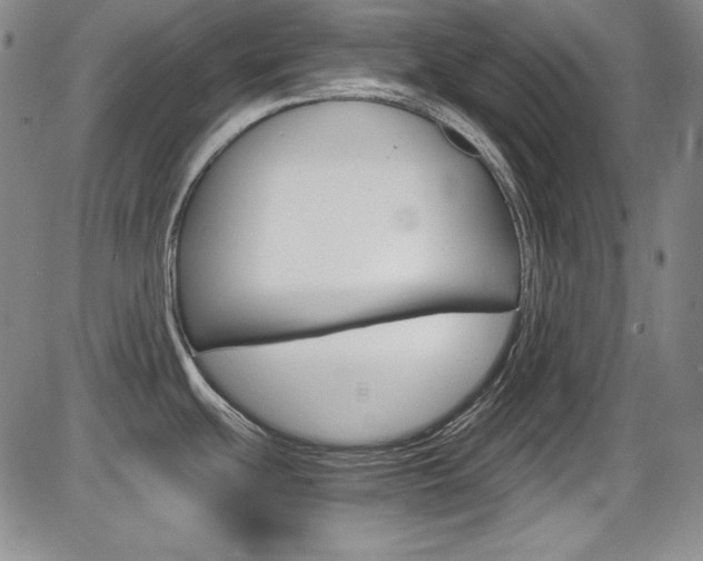X0000086341439200703300945