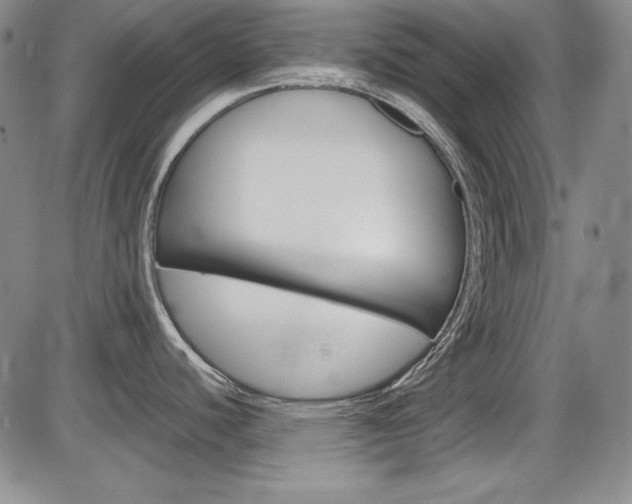 X0000086341440200703300945