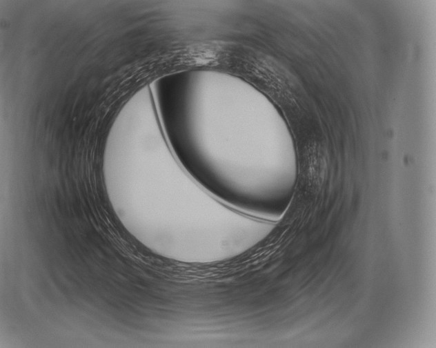 X0000086341442200703300944