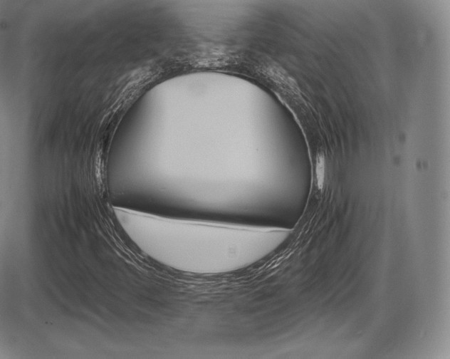 X0000086341444200703300944
