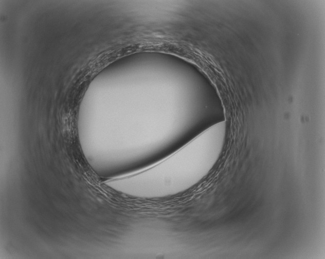 X0000086341445200703300944