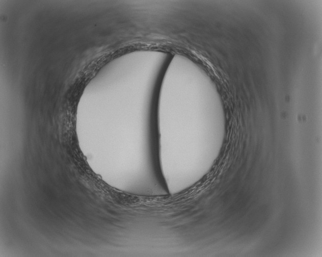 X0000086341447200703300944