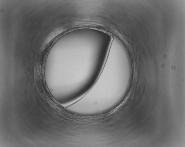 X0000086341453200703300944