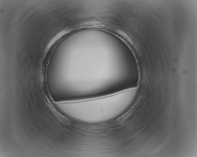 X0000086341458200703300944