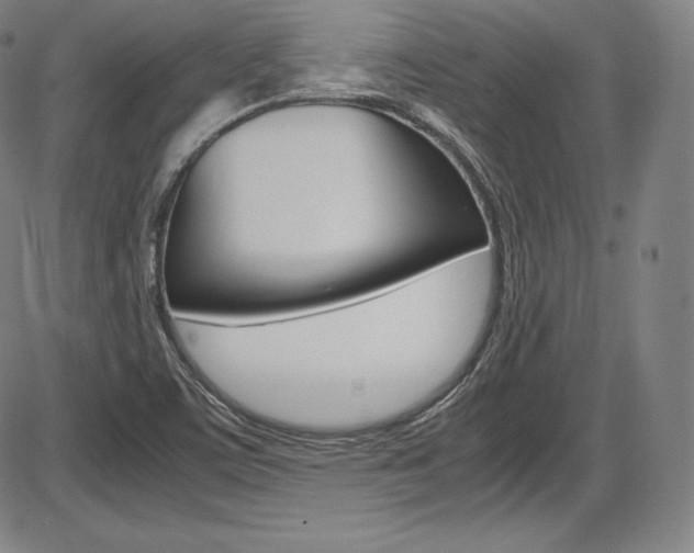 X0000086341459200703300944