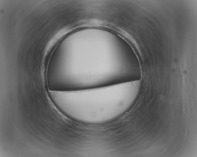 X0000086341464200703300944