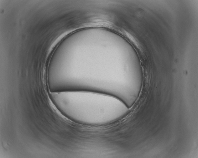 X0000086341468200703300944