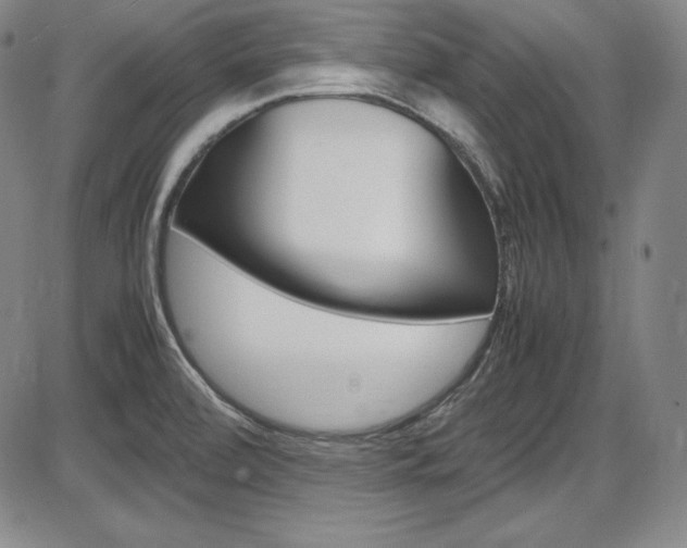 X0000086341472200703300944
