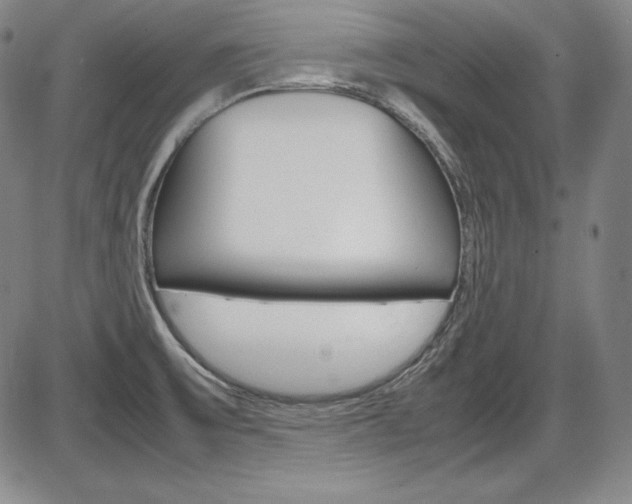 X0000086341475200703300944
