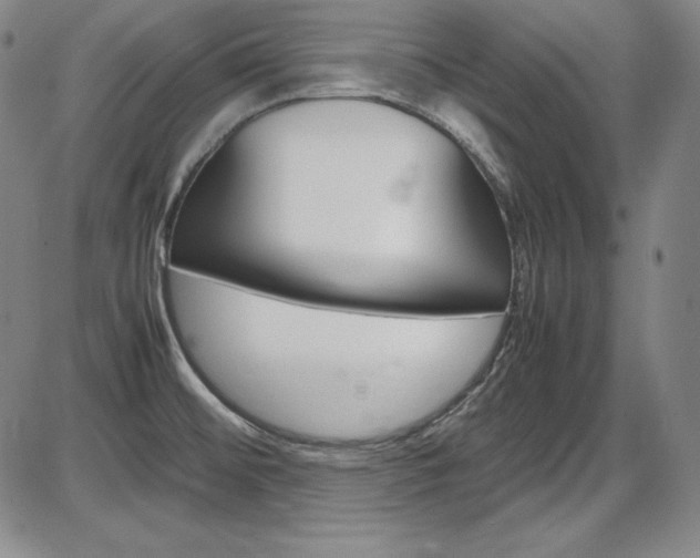 X0000086341476200703300944
