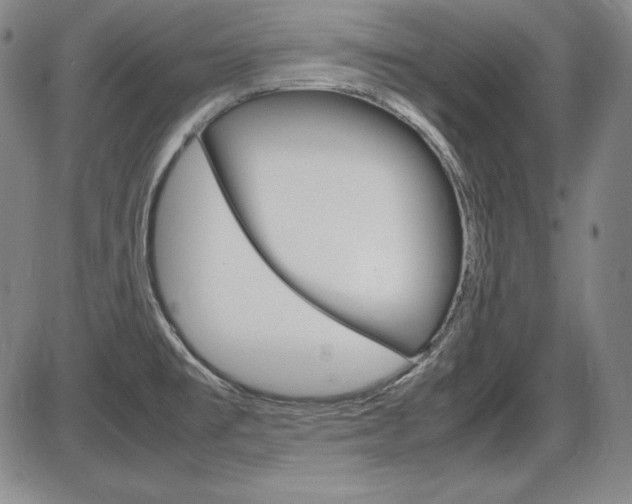 X0000086341477200703300944