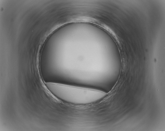X0000086341480200703300944