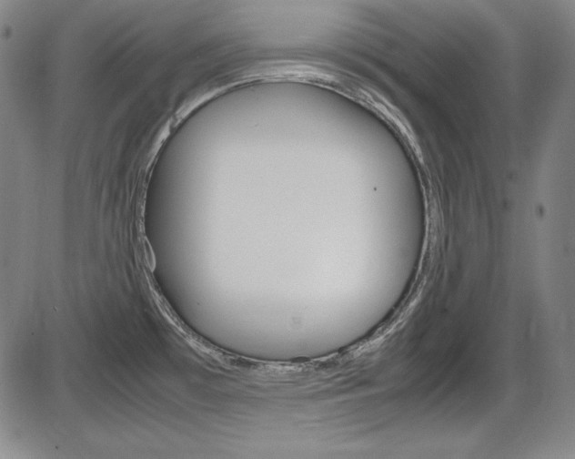 X0000086341481200703300944