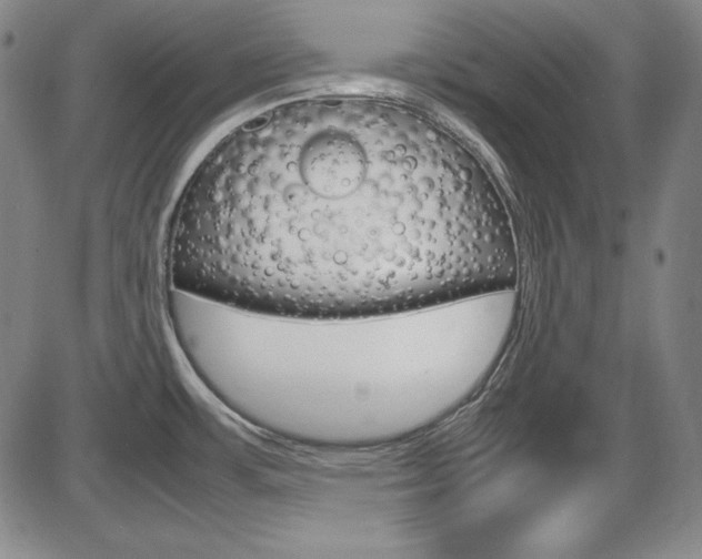X0000086341483200703300944