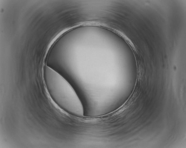 X0000086341484200703300944