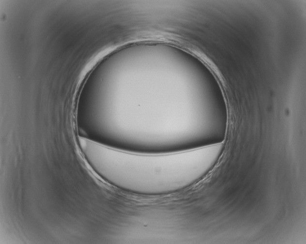 X0000086341485200703300944