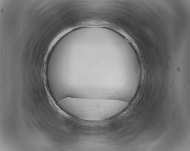 X0000086341486200703300944