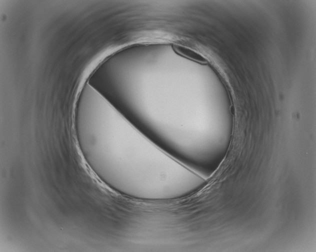 X0000086341488200703300944