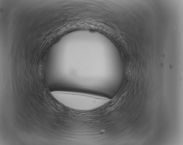 X0000086341490200703300943