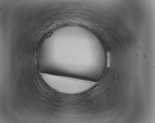 X0000086341491200703300943