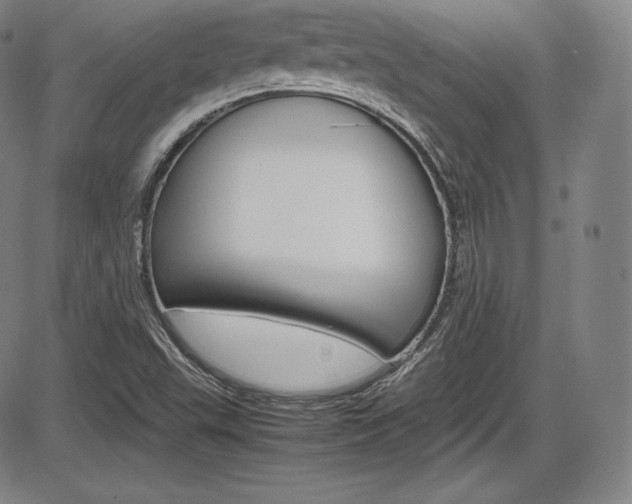X0000086341503200703300943