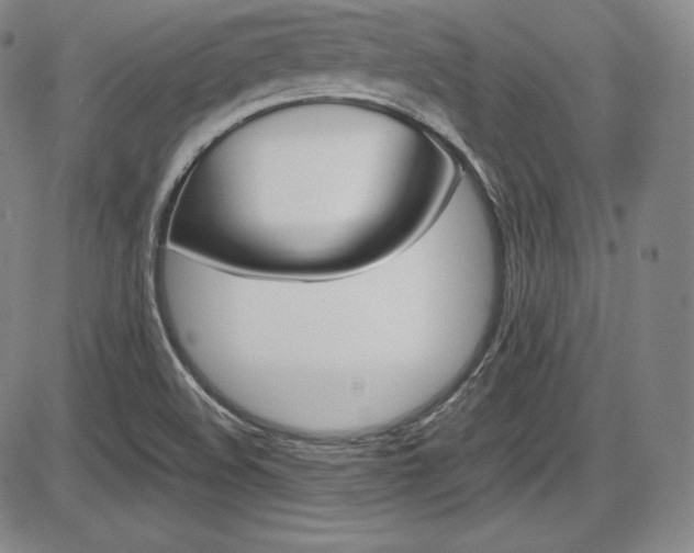 X0000086341508200703300943