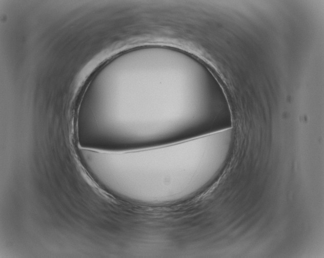 X0000086341511200703300943