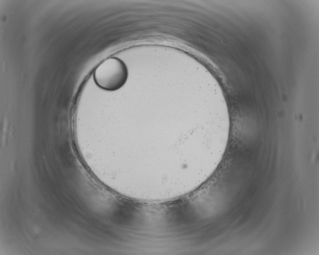 X0000086341514200703300943