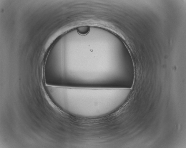 X0000086341515200703300943