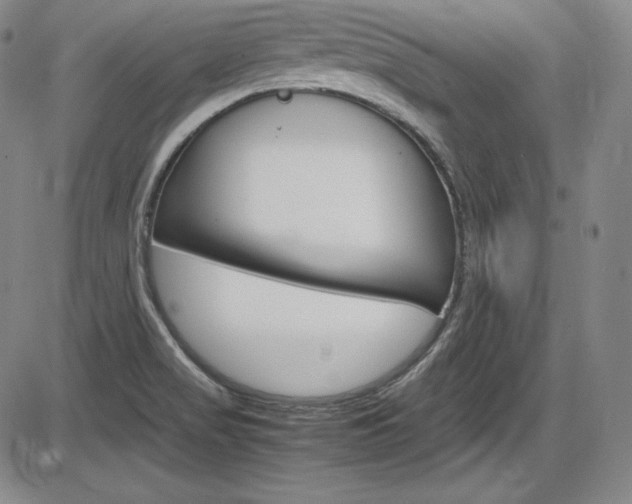 X0000086341517200703300943