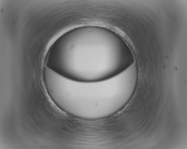 X0000086341520200703300943