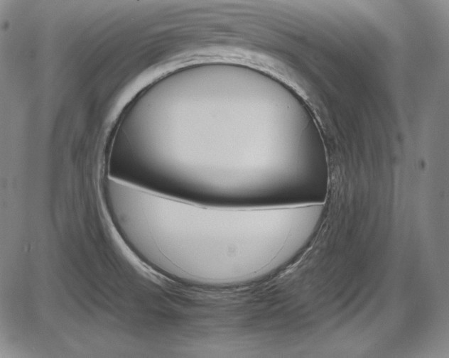 X0000086341523200703300943