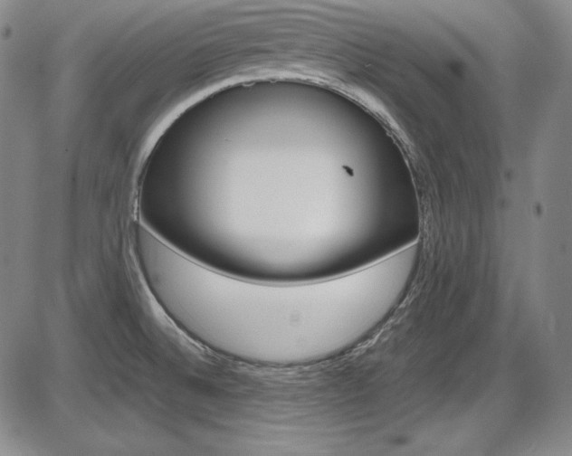 X0000086341524200703300943