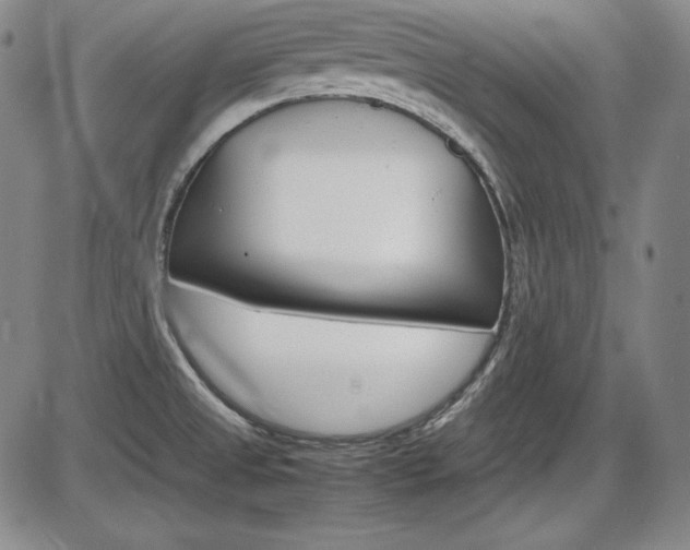 X0000086341525200703300943
