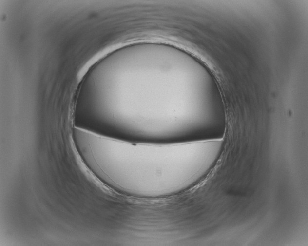 X0000086341526200703300943