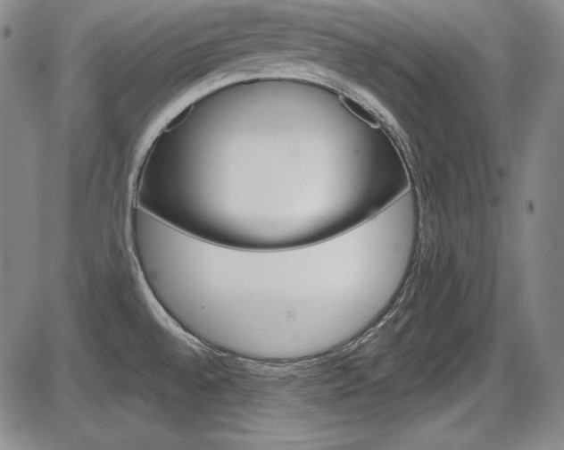 X0000086341528200703300943