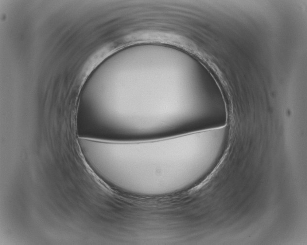 X0000086341529200703300943