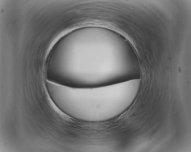 X0000086341531200703300944