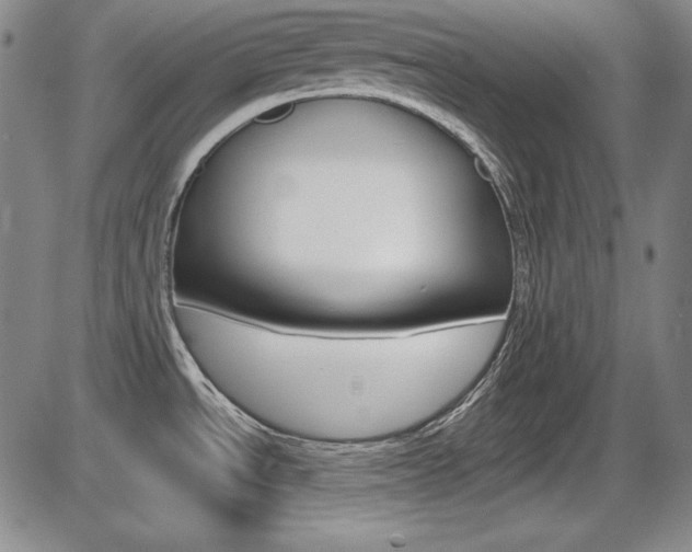 X0000086341534200703300944