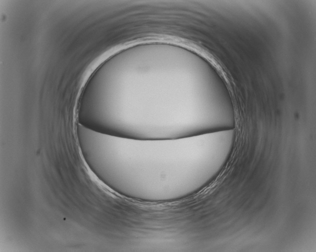 X0000086341535200703300944