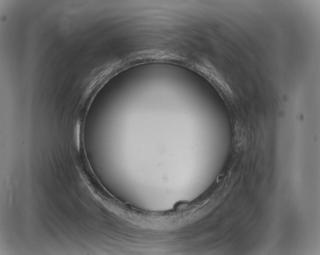X0000086340014200703301307