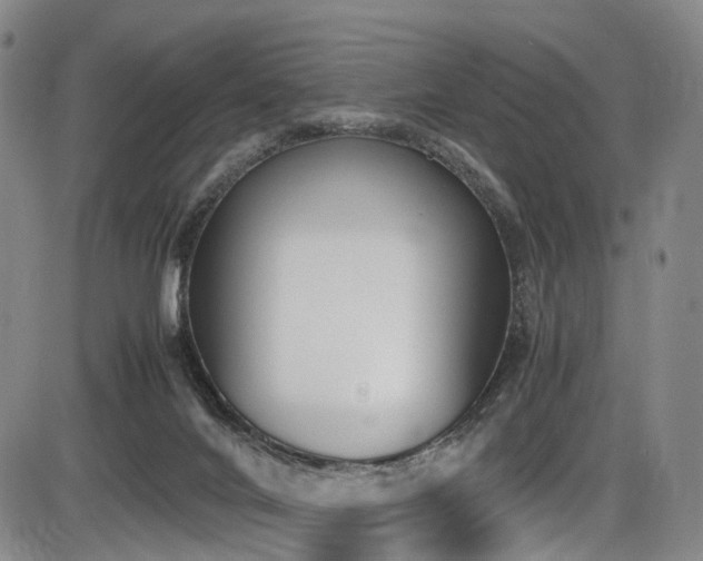 X0000086340024200703301307