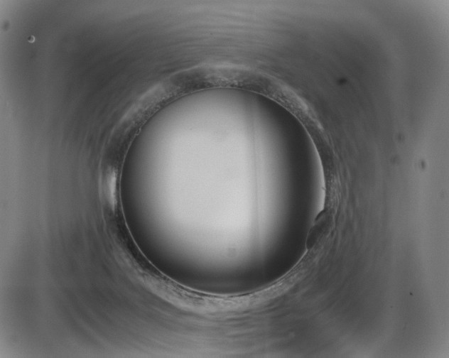 X0000086340027200703301307